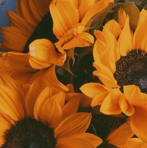 اهنگ اما بگو مگه زندگی میگذره بی عشق اما بگو مگه زندگی میگذره بی درد