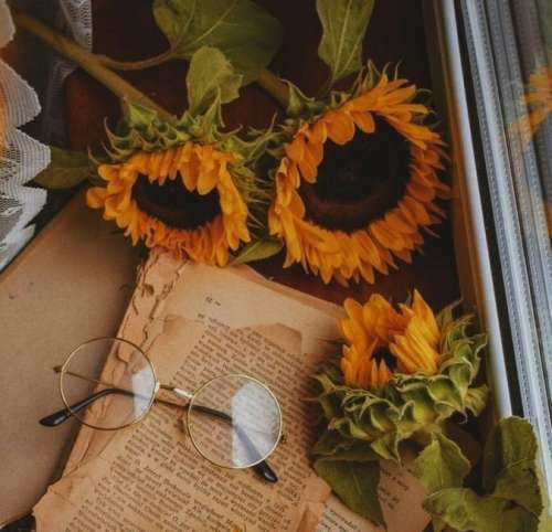 اهنگ ای وای نه گوزلردی بو آدامیله دانیشیر وای نه سوزلردی بو دمه عالم