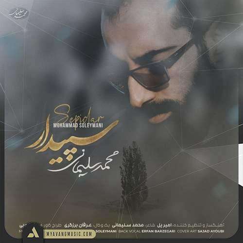 محمد سلیمانی سپیدار