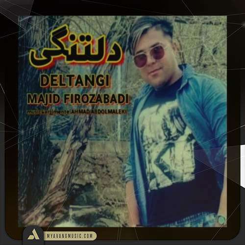 مجید فیروزآبادی دلتنگی