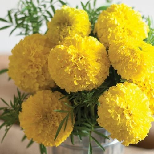 اهنگ من موجیم صفر صد خوب خوش چت رد راحت ازم میشه دل کند