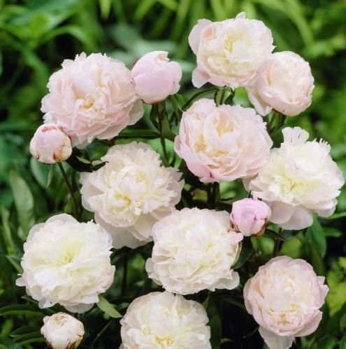 اهنگ بی تو جون میکنم توی پاییز و هر شب خیسه چشم چرا نیستی پیشم