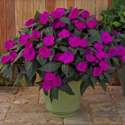 اهنگ حق داره هرکی به حال این روزای من بخنده مگه یه برکه به ماهی دل میبنده