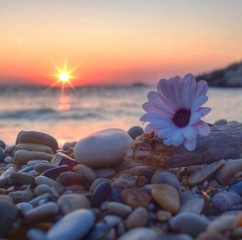 اهنگ جز تو کی پای حرفای دلم میشینه جز من کی کمتر از گلم بهت نمیگه