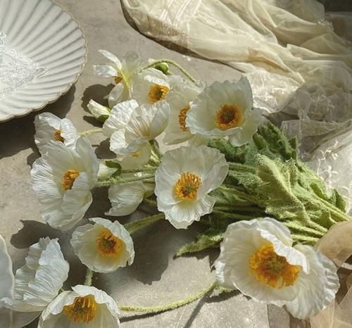 اهنگ بالا چشم ابر ریخت اشک با اشکام آب دادم به پات گلم نشی پژمزده