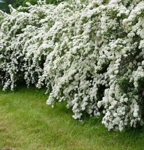 اهنگ خیلی افسردم با اینکه آدم دور و برم زیاده اون هنوز دلتنگم میشه