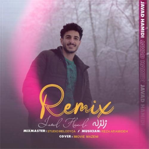 جواد حمیدی زلزله