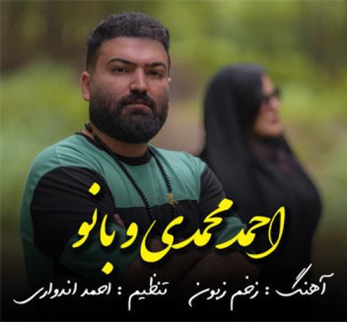 احمد محمدی و بانو زخم زبون