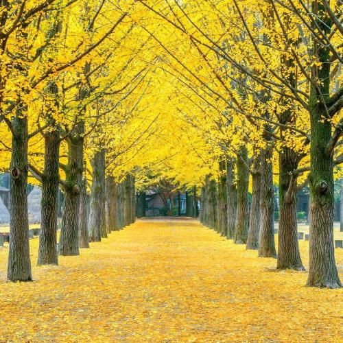 اهنگ من همین جا موندم اما تو دلت رفته مرد نبودی تا بفهمی