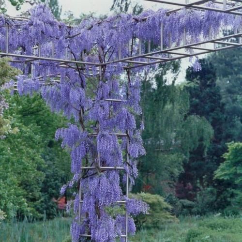 اهنگ رفتی بند نمیاد اشکمو بدجایی ول کردی تو دستمو تو نباشی نمیخوام