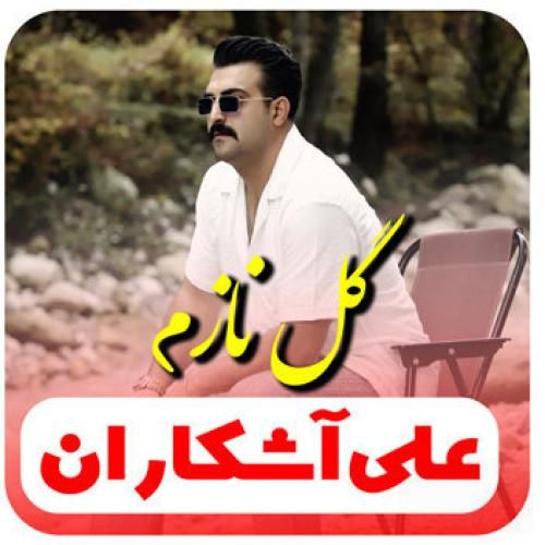 علی آشکاران گل نازم