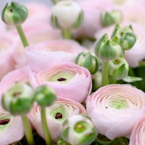 اهنگ یالله یالله اول طی کن یالله ادونس پل کنه یالله بچین ببندیم