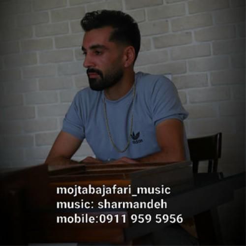 مجتبی جعفری شرمنده