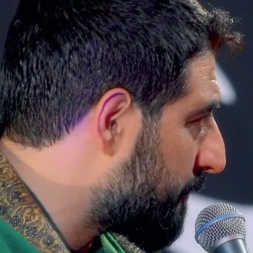 مجید بنی فاطمه ای اهل حرم میر و علمدار نیامد