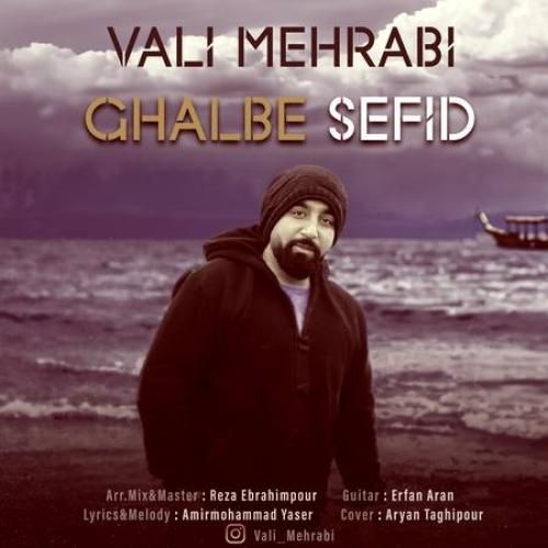 ولی مهرابی قلب سفید