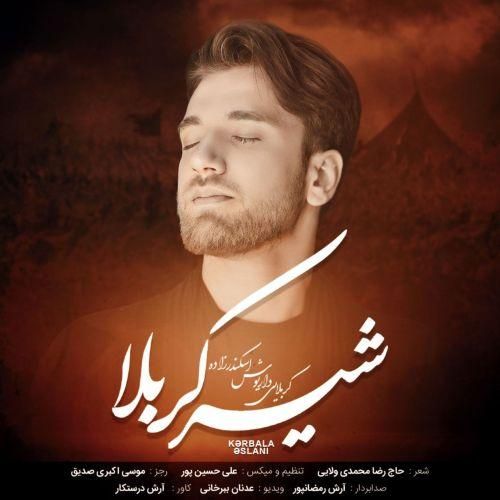 دانلود آهنگ شیر کربلا از داریوش اسکندرزاده دانلود آهنگ شیر کربلا از داریوش اسکندرزاده