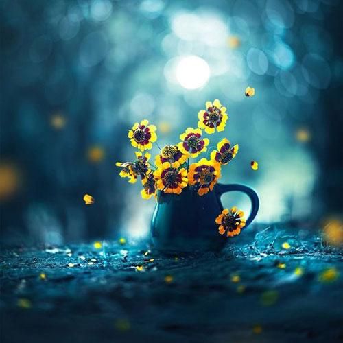 همین امشب برایت گریه کردم