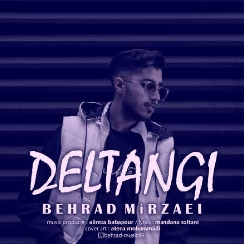 بهراد میرزایی دلتنگی