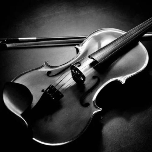 حمید پاپی خره ده سر