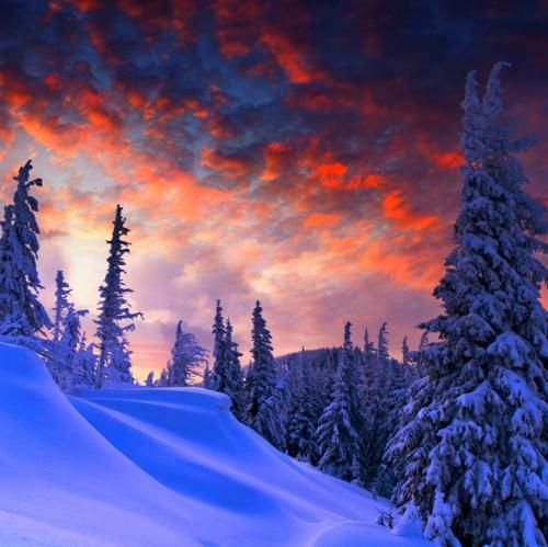 هر شب توی رویاش با تو خوابیده