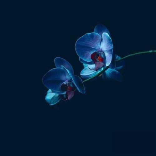 باز آمد بوی گند مدرسه (ریمیکس اینستایی)