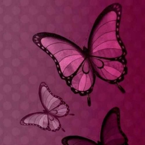 سوکی تاری به برف و باران صدای دختر کورد اینستایی