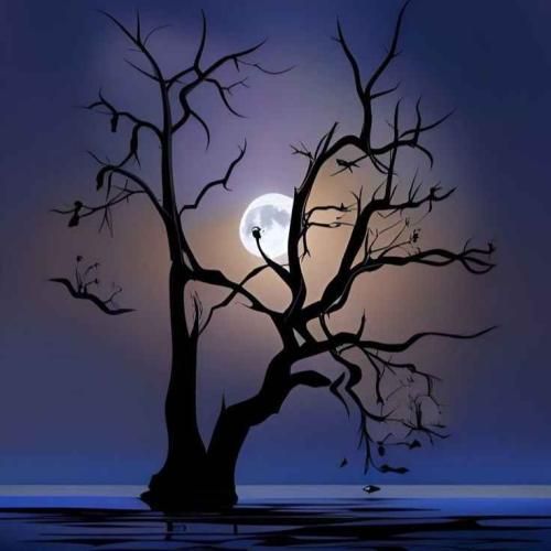 دل من هواتو کرده کاش از اون اول نبودی