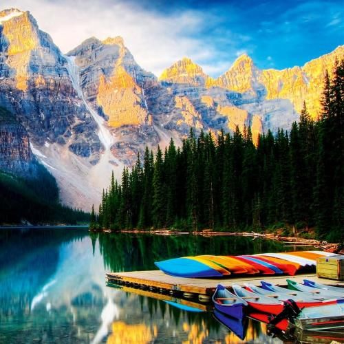 دهه هشتاد رخ بیانسه ددی گیر میده میره بالماسکه