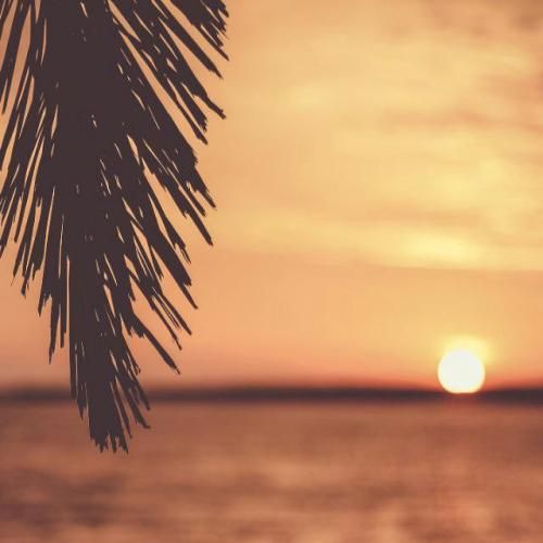  باید خاکسترو بکنی طلا حتی باشی فرزند کوچیک وسط طلاق