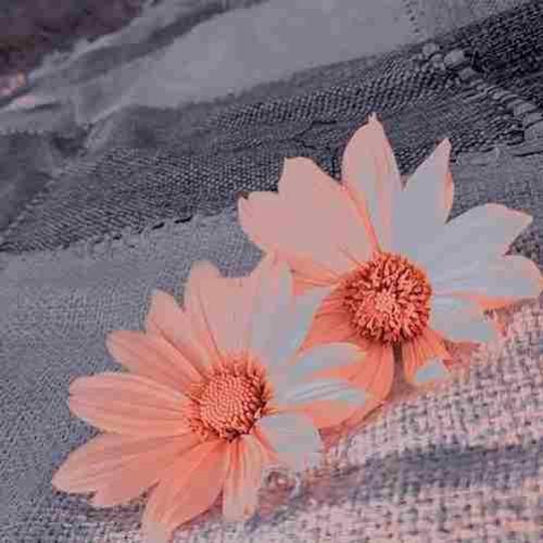 اسمش نمیدونم عقدس یا چی دوس دارم پشتم باشی