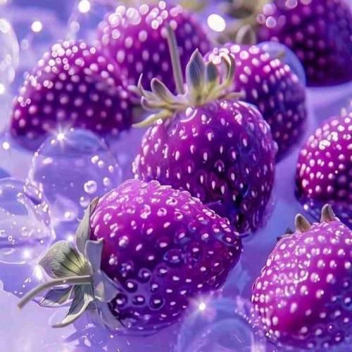  میخوام از درد داد بزنم زمینو گاز بگیرم شاید امشب بمیرم