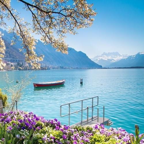 ما کنار هم اصن استرس نداریم تازه مثل بنز سرحالیم