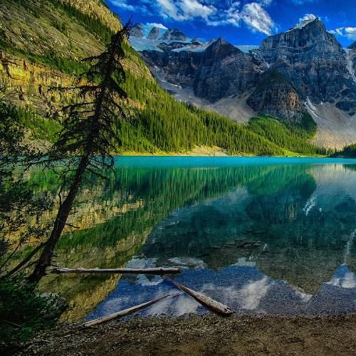 بیبی الو داره سه میشه بگو بگیرن