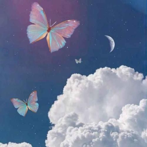 خوردم خوابیدم گشتم هر روز زورم از زندگیم