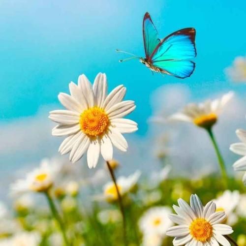 یه روزی همه چیو ول میکنم وسط خیابون شعر میخونم