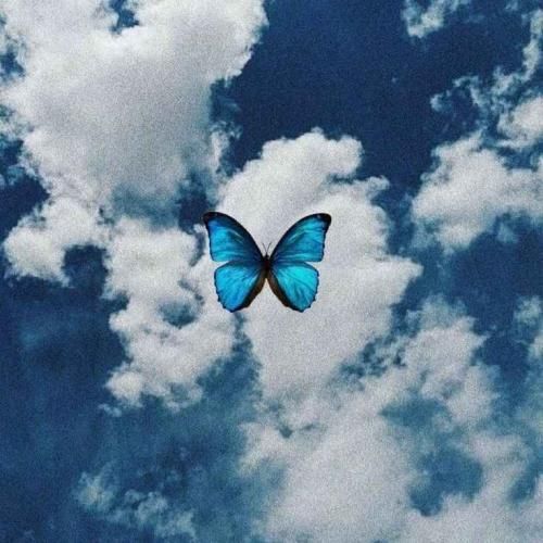 بغضه تو گلوم عکسات روبروم