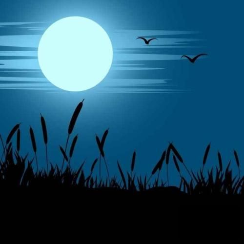  قدم قدم قدم میکشم نفس یه صبح قشنگ