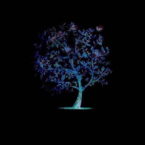  امشو شو آخرمه پرشه شرم تیدن گلم