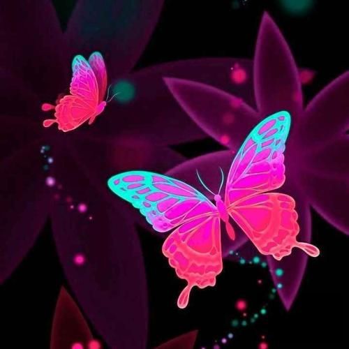 بگو بگو فقط مال خودمی بگو بم