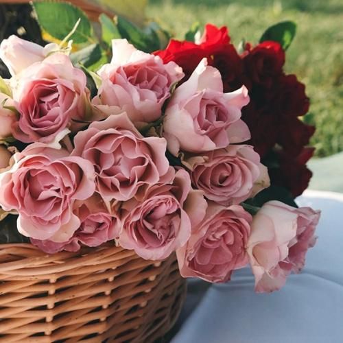 اگه فردا بی من شروع شد