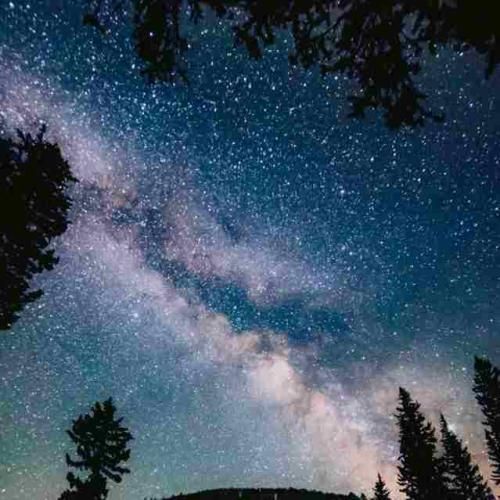  شهر عین رزیدنت ایول زر میزنه پرزیدنت