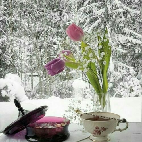 میپوشونی خودتو نمیگی اسممو لا به لای حرفات