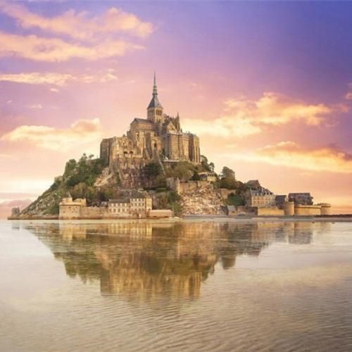  تو هیچ‌ رینگی باخت نمیدیم انگار تایسونیم