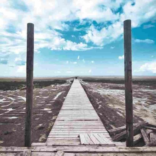 حالا فهمیدی عین ما برات خوب نبود