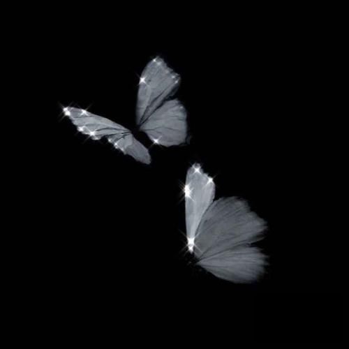  همون بهتر که بری اگه باز میخواد خبرت از هرجا بیاد