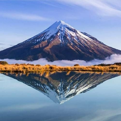 باید جمعم کنن یکم شت میگی اصن کلا به من چه