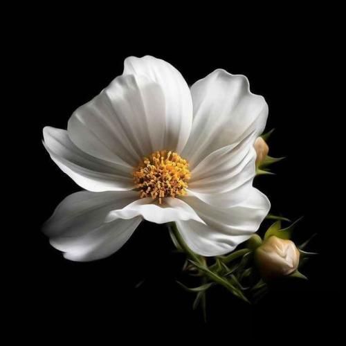 یه روز پر انگیزم یه روز از قلبم میزنه حسم