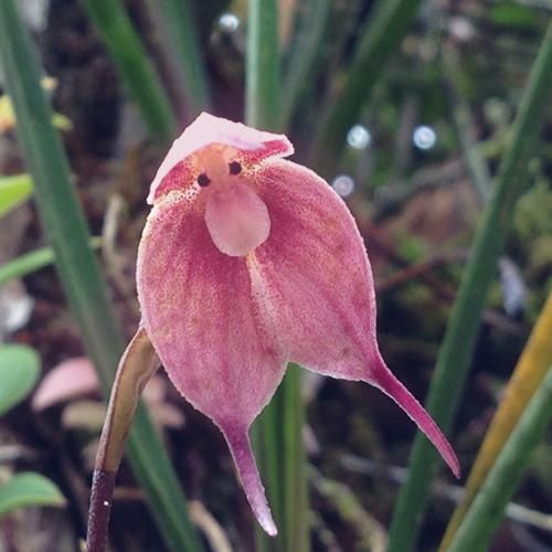  مگه من نفهمم که کی تو رو قشنگت کرده