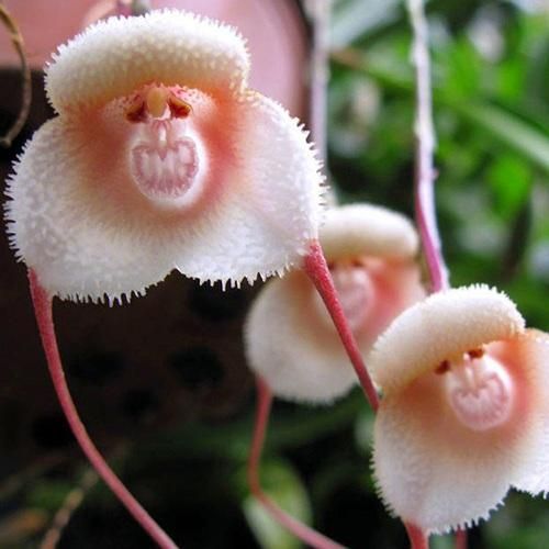  چرا برمیگردم هی با تو هی با تو هی با تو