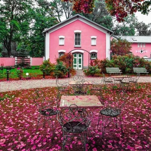 دکتر شدم مثل خان عموم رفتم زندان